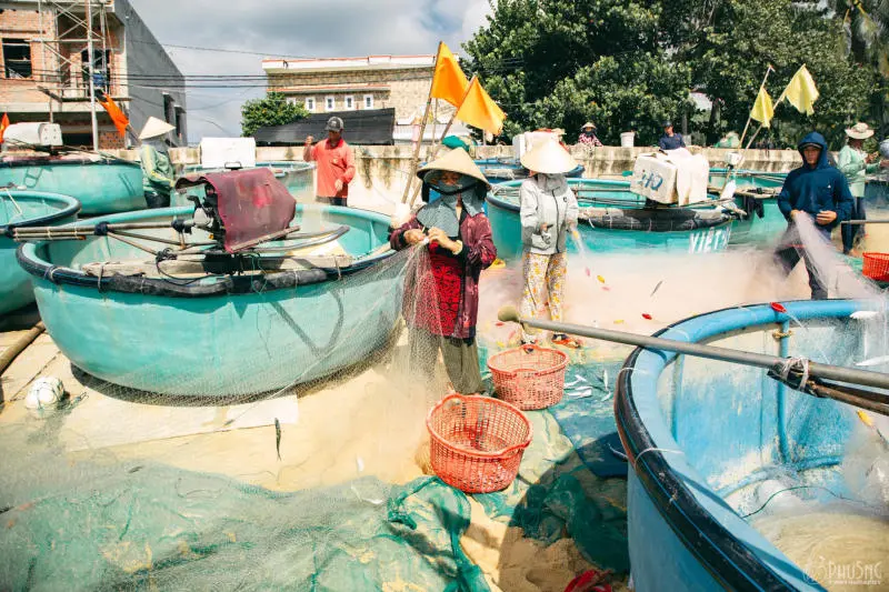 Làng chài Xuân Hải bình dị ở chốn hoa vàng trên cỏ xanh 14