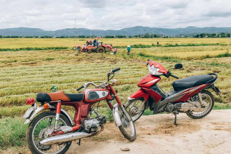 Một ngày Lang thang Phú Yên lạc vào cảnh sắc thiên nhiên tuyệt mỹ 12