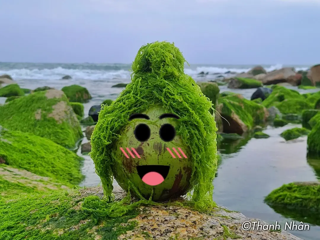 Review X&oacute;m Rớ Ph&uacute; Y&ecirc;n thi&ecirc;n đường r&ecirc;u xanh qua ống k&iacute;nh của bạn trẻ tại địa phương 10