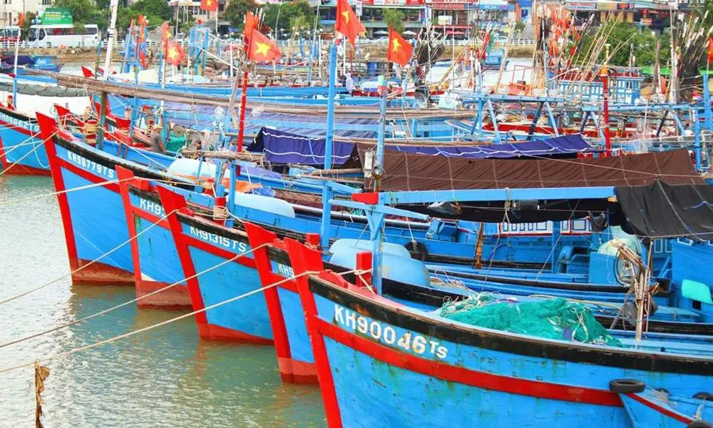 Vẻ đẹp của cuộc sống và con người tại những bến cảng Phú Yên 5