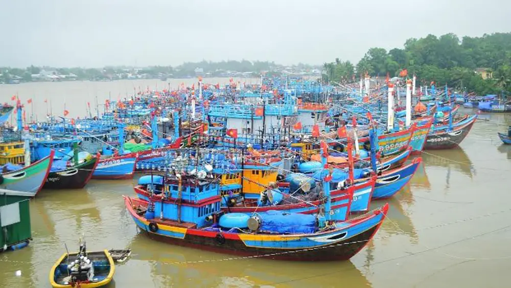 Vẻ đẹp của cuộc sống và con người tại những bến cảng Phú Yên 4