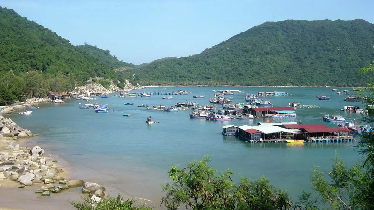 Vẻ đẹp của cuộc sống và con người tại những bến cảng Phú Yên 7