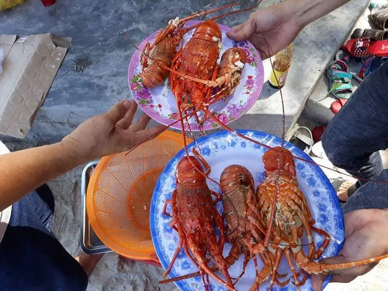 Vịnh H&ograve;a Ph&uacute; Y&ecirc;n: Tọa độ nằm nghe biển h&aacute;t lời thơ 9