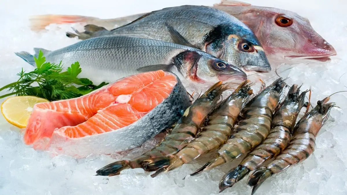 Bỏ t&uacute;i lịch tr&igrave;nh lặn biển ngắm san h&ocirc; Ph&uacute; Y&ecirc;n tự t&uacute;c từ A đến Z 5