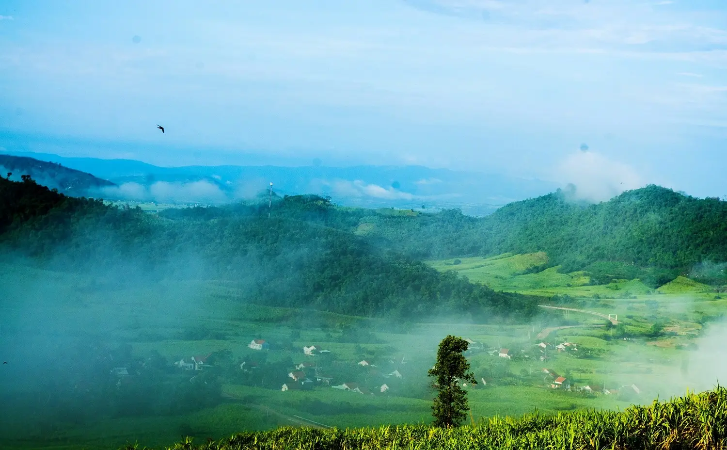 Bỏ t&uacute;i ngay hướng dẫn lịch tr&igrave;nh tự t&uacute;c 48 giờ kh&aacute;m ph&aacute; Ph&uacute; Y&ecirc;n trọn vẹn 8