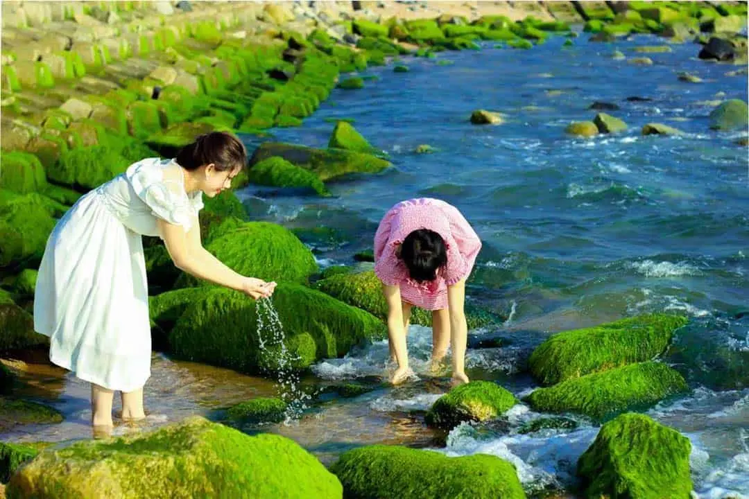 Lịch tr&igrave;nh tự t&uacute;c 24 giờ kh&aacute;m ph&aacute; Ph&uacute; Y&ecirc;n d&agrave;nh cho người bận rộn 3