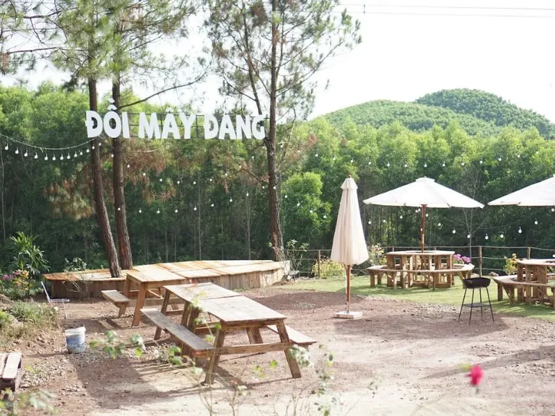 Cắm trại đồi M&acirc;y Đắng, một trải nghiệm th&uacute; vị khi đến Quảng B&igrave;nh 3