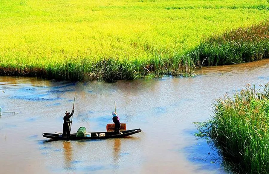 Đến ngay ph&aacute; Hạc Hải Quảng B&igrave;nh để t&igrave;m lại gi&acirc;y ph&uacute;t b&igrave;nh y&ecirc;n 5