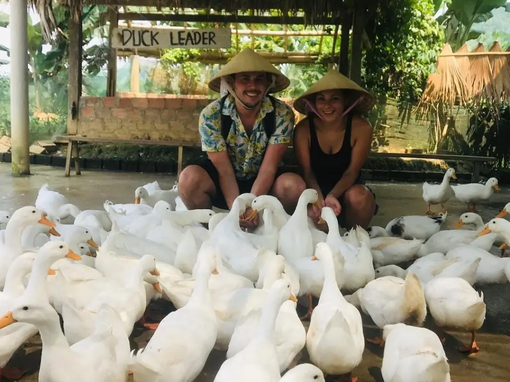 Kh&aacute;m ph&aacute; Wild Boar Eco Farm Quảng B&igrave;nh v&agrave; vẻ đẹp như chốn bồng lai 5