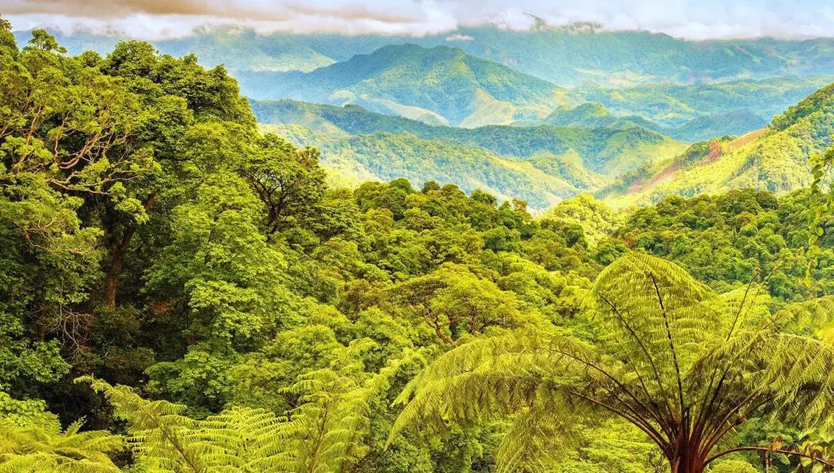 Th&aacute;c T&oacute;c Ti&ecirc;n Quảng B&igrave;nh, say đắm n&eacute;t đẹp huyền b&iacute; chốn rừng xanh 7