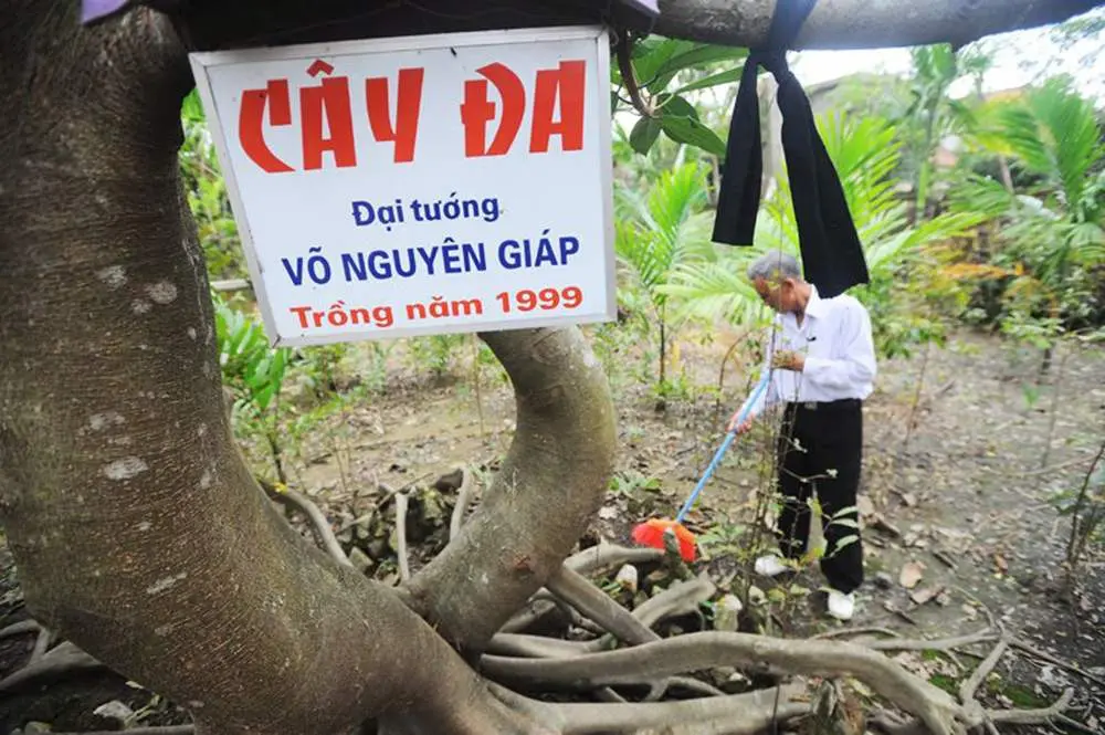 Thăm Ch&ugrave;a An X&aacute; Quảng B&igrave;nh v&agrave; vẻ đẹp thanh tịnh, b&igrave;nh an 4