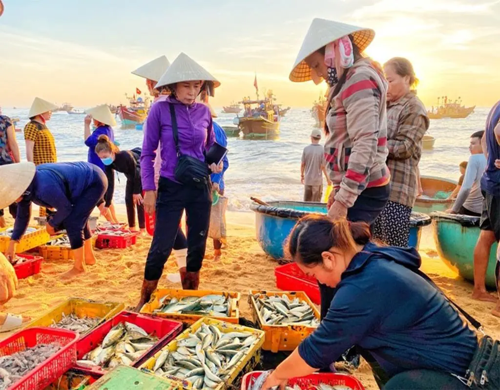 Top những Địa điểm tr&aacute;nh n&oacute;ng ở Quảng B&igrave;nh được y&ecirc;u th&iacute;ch nhất 5