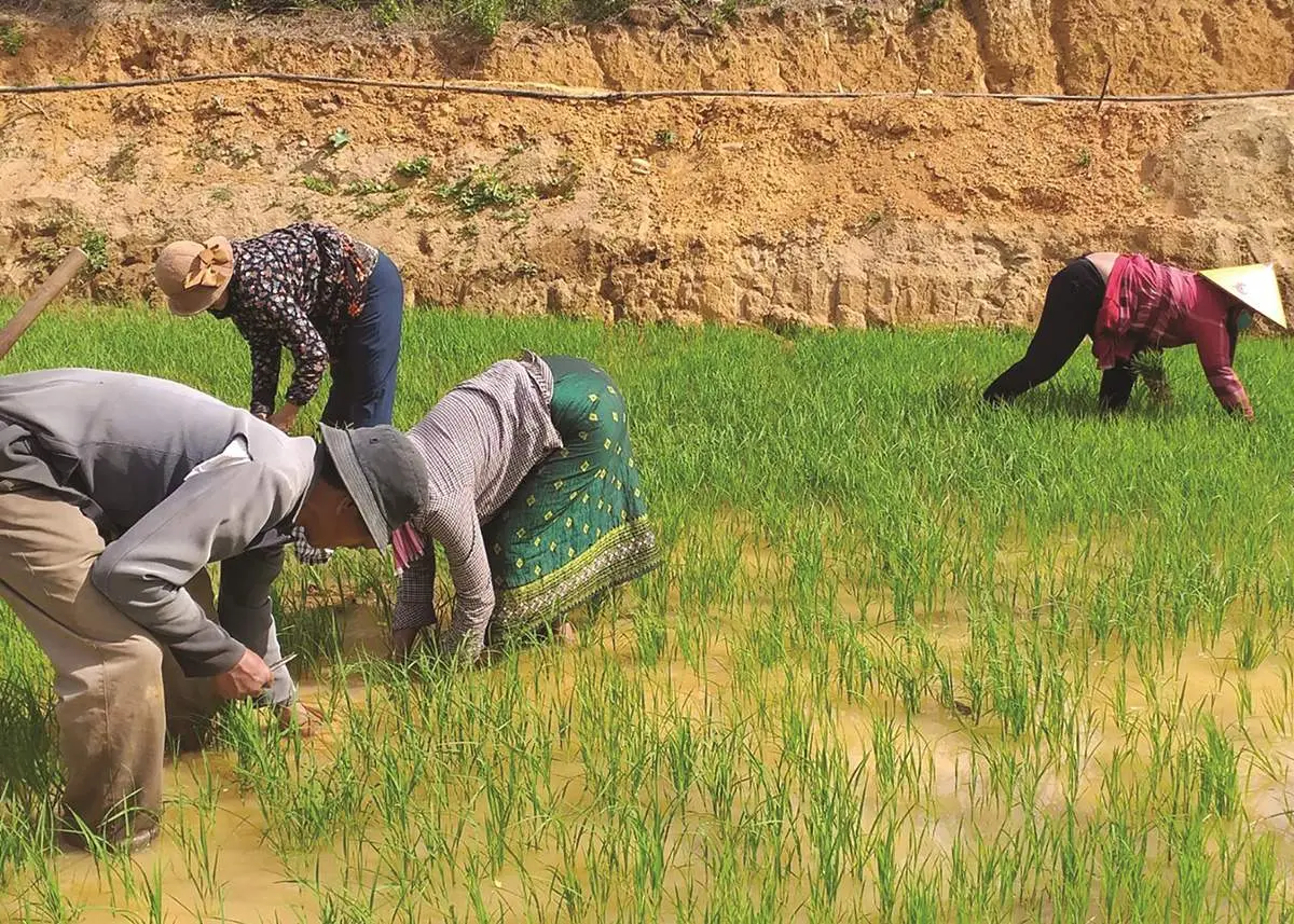 Về Bản T&agrave; Vờng Quảng B&igrave;nh trải nghiệm cuộc sống l&aacute;nh xa nh&acirc;n thế 5