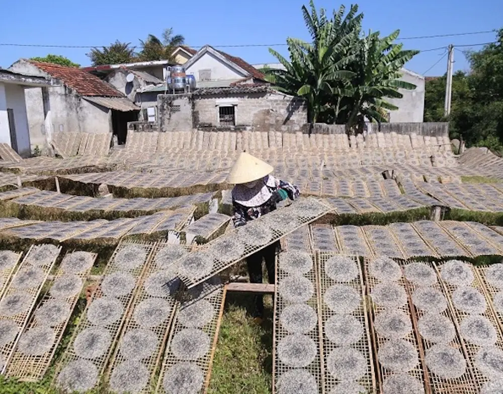 Làng Tân An Quảng Bình, khám phá truyền thống làm bánh tráng lâu đời