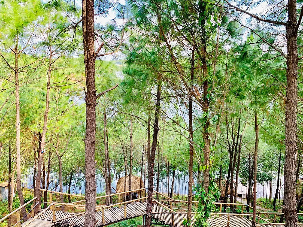 Thỏa mãn đam mê sống ảo tại Happy Hills Quảng Bình