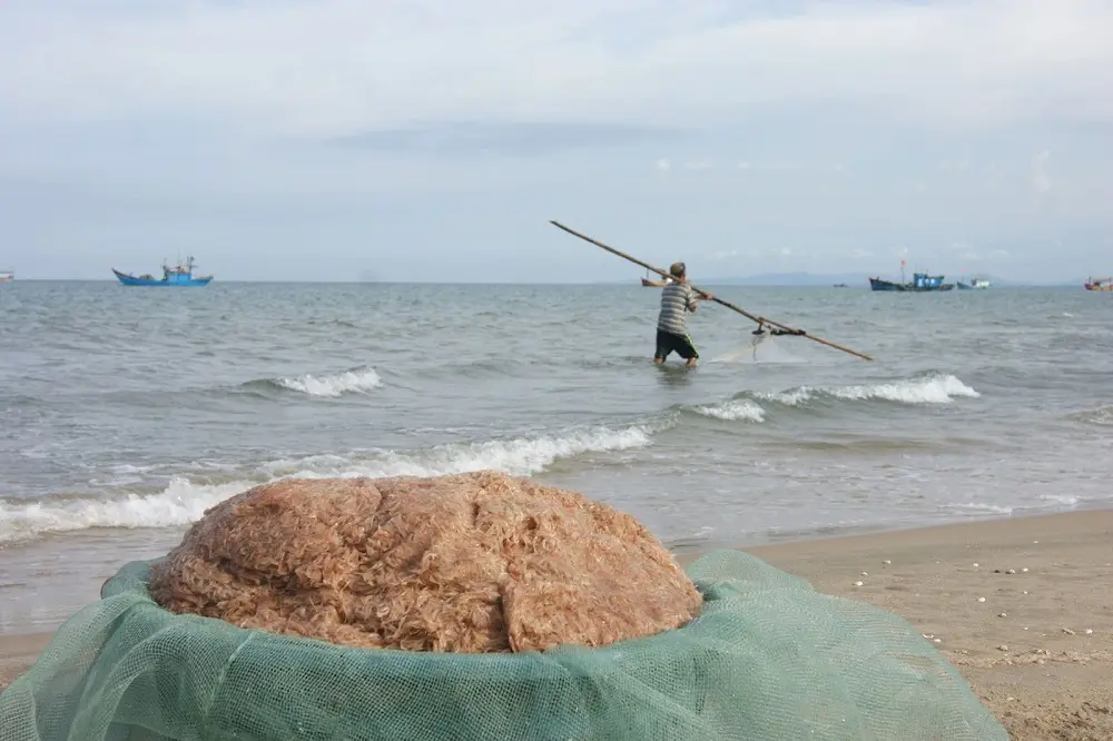 Đặc sản Mắm ruốc Quảng B&igrave;nh với hương vị nồng n&agrave;n kh&oacute; cưỡng 3