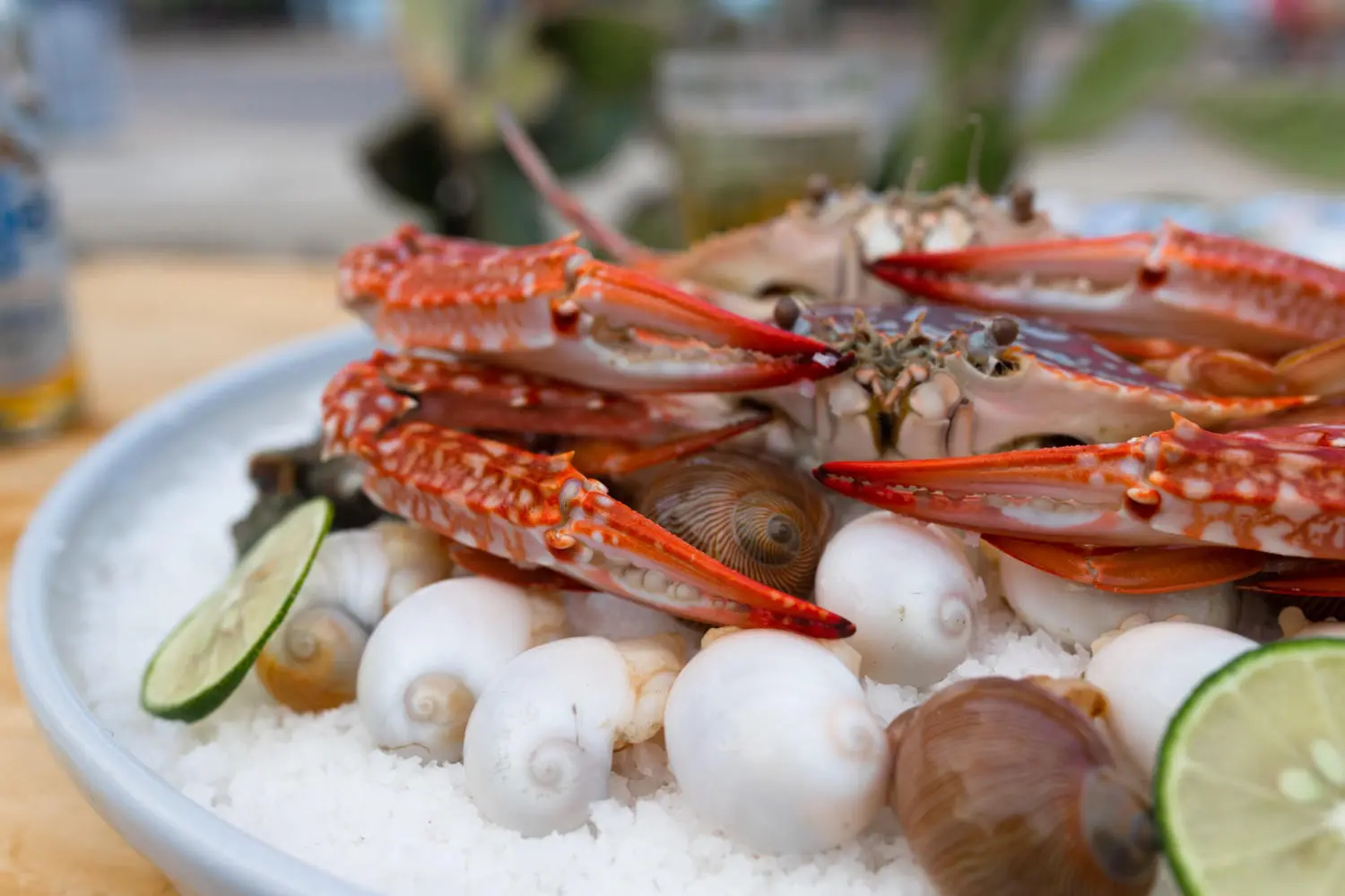 Đến Chang Chang Beach Bar Nhật Lệ khuấy động mùa hè cực vui 4