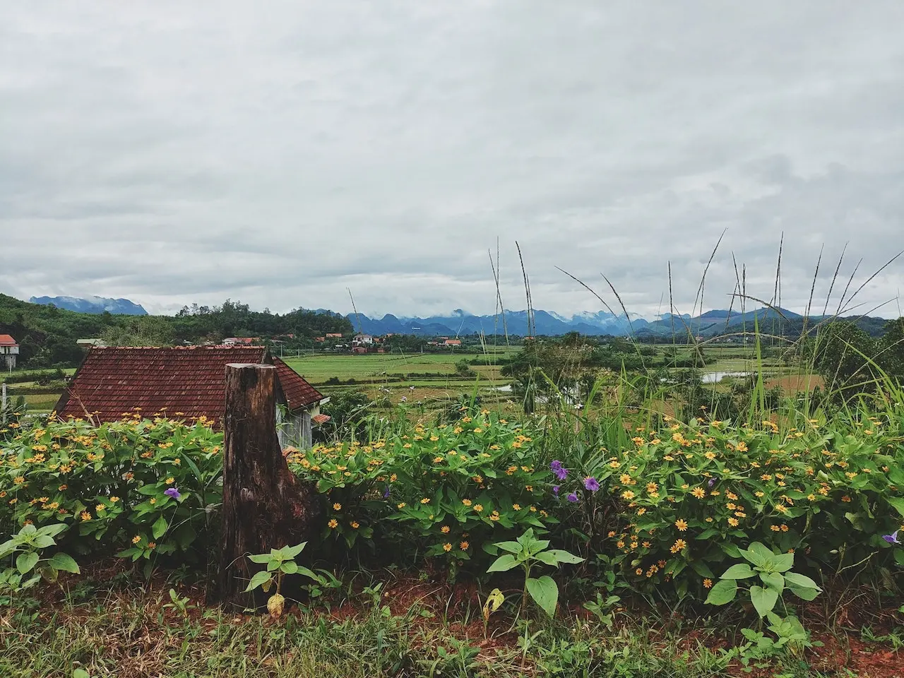 East Hill Phong Nha Quảng Bình, nơi chỉ có ta và thiên nhiên yên bình 18