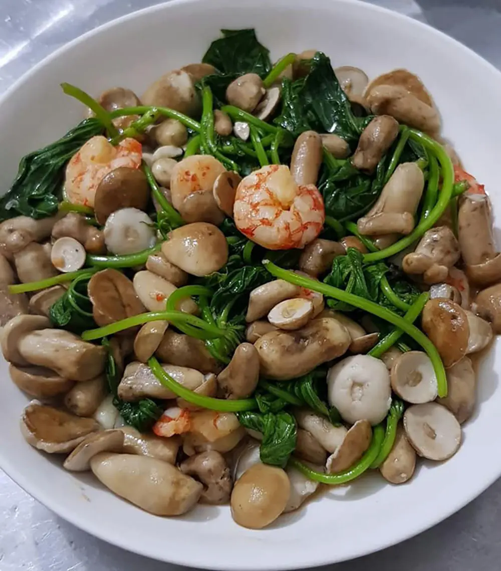 Nấm tr&agrave;m Quảng B&igrave;nh, thức qu&agrave; kh&oacute; qu&ecirc;n những ng&agrave;y mưa 4