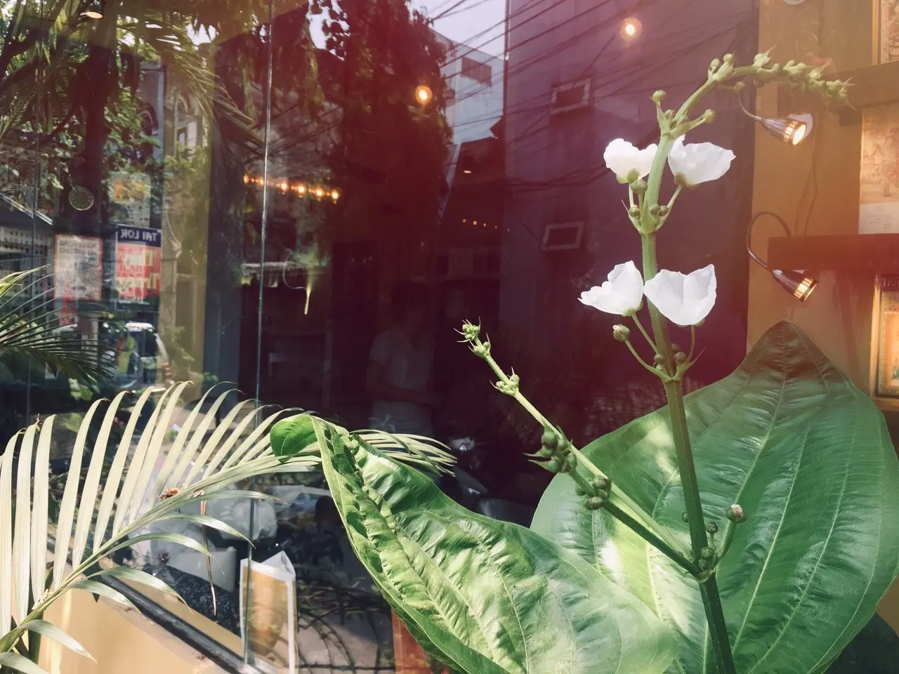 Thả hồn v&agrave;o Kiwi Caf&eacute; Bookstore Quảng B&igrave;nh cực hot 2