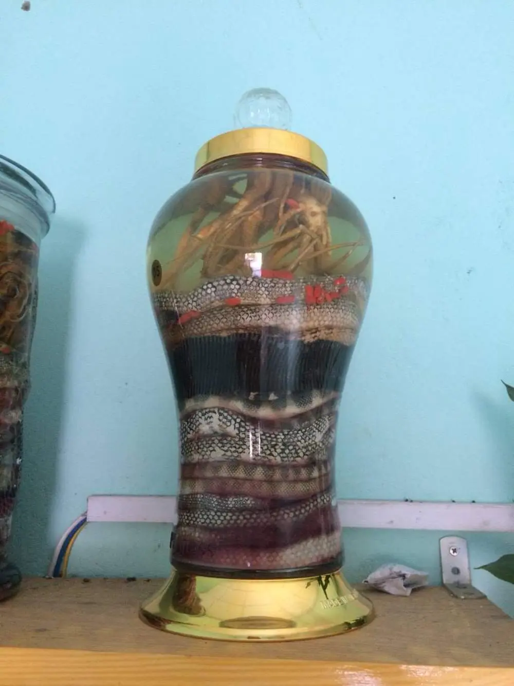 Thưởng thức Đẻn biển Quảng Bình với hương vị thơm ngon khó quên 4