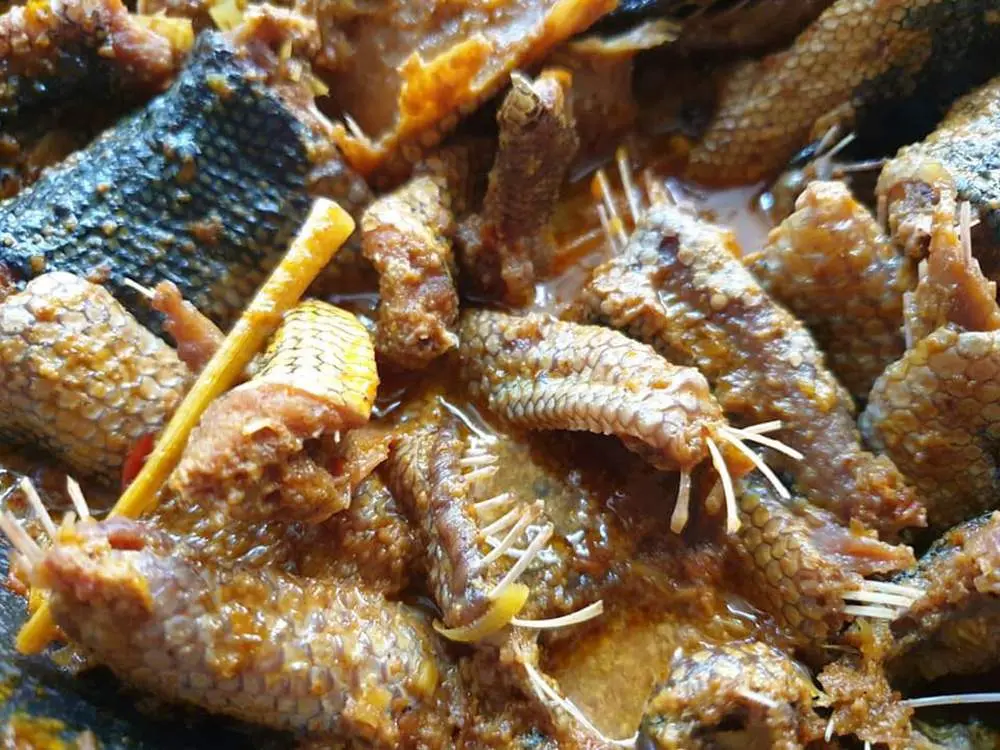 Thưởng thức Đẻn biển Quảng Bình với hương vị thơm ngon khó quên 5