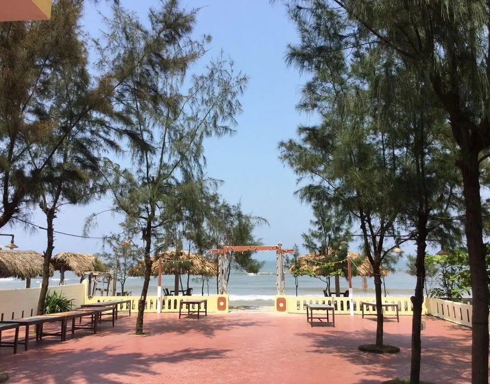 Lưu ngay những địa điểm ăn hải sản Quảng Bình thơm ngon, hấp dẫn