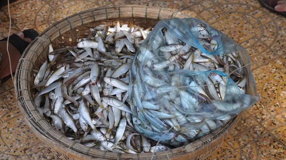 Thử ăn món Mắm lẹp Quảng Bình thơm ngon nức tiếng gần xa
