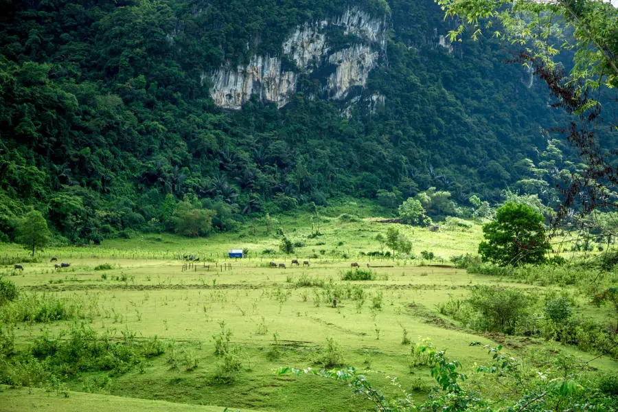Cắm trại b&ecirc;n Hồ Y&ecirc;n Ph&uacute; chi&ecirc;m ngưỡng bức tranh sơn thủy hữu t&igrave;nh 3