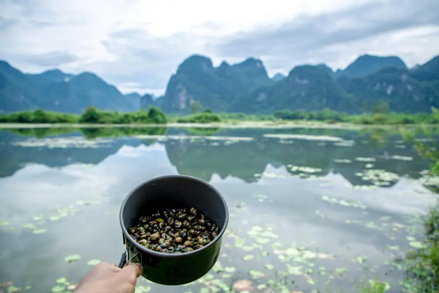Cắm trại b&ecirc;n Hồ Y&ecirc;n Ph&uacute; chi&ecirc;m ngưỡng bức tranh sơn thủy hữu t&igrave;nh 15