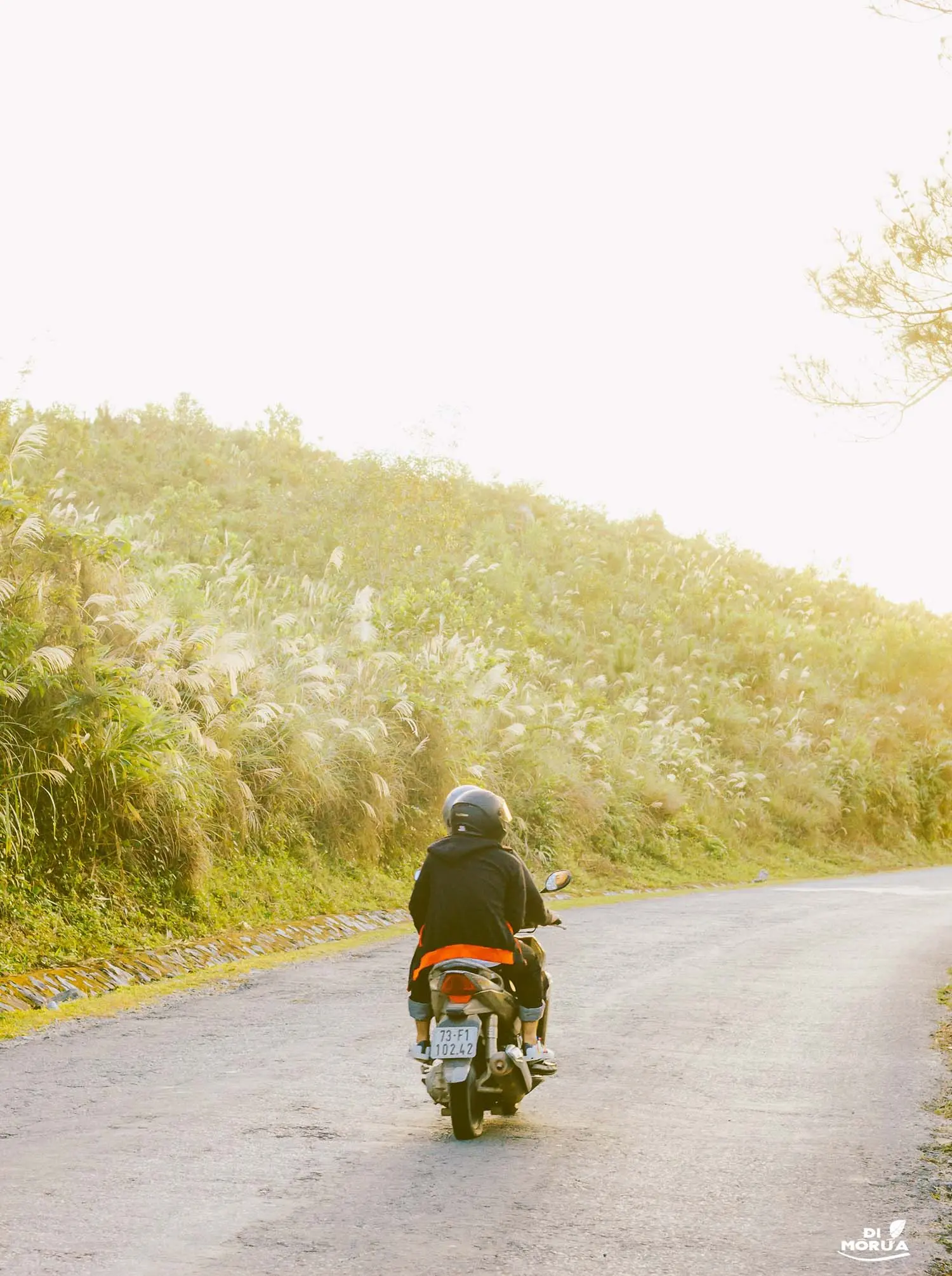 C&oacute; một Đ&agrave; Lạt ở Quảng B&igrave;nh vừa được bật m&iacute;, bạn c&oacute; biết chăng 6