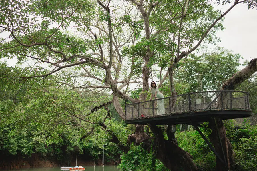 Đến Blue Diamond Camp check in v&agrave; nghỉ dưỡng m&ugrave;a săn m&acirc;y Quảng B&igrave;nh 5