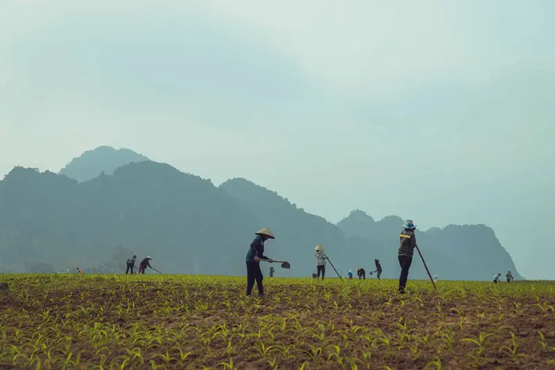 L&agrave;ng du lịch T&acirc;n Ho&aacute;: Kh&aacute;m ph&aacute; thi&ecirc;n thi&ecirc;n v&agrave; bản sắc văn h&oacute;a độc đ&aacute;o 4