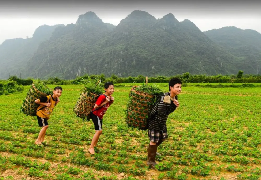 Minh Cầm Quảng B&igrave;nh với vẻ đẹp hữu t&igrave;nh khiến bao người đắm say 6