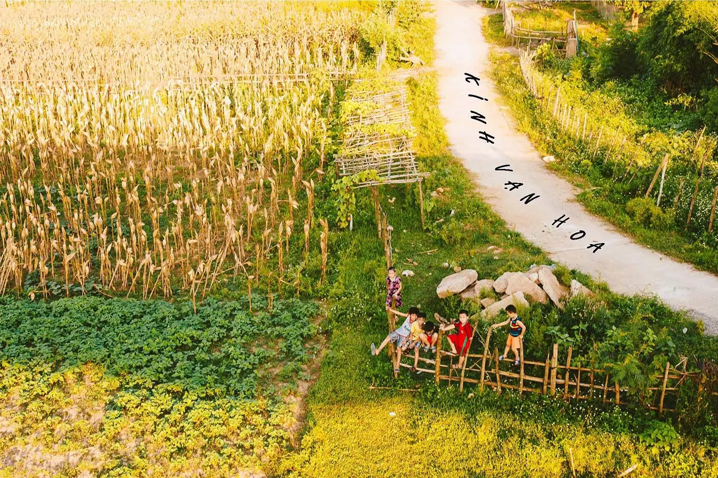 Ngồi lại nghe review Quảng Bình vào những ngày nắng vàng rực rỡ 3