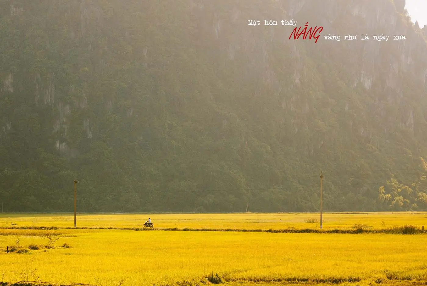 Ngồi lại nghe review Quảng Bình vào những ngày nắng vàng rực rỡ 7
