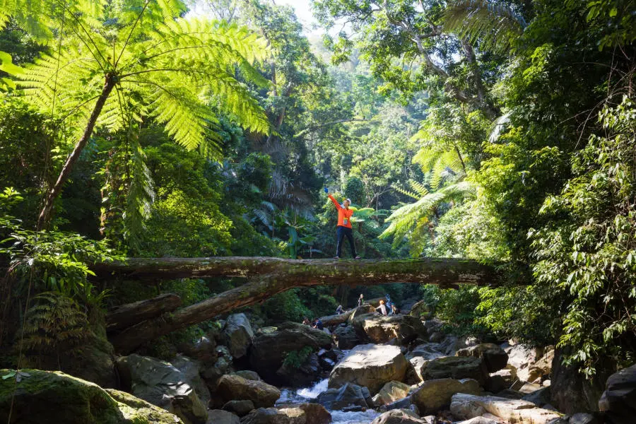 Review cung đường Trekking Quảng Bình vượt qua Thác Dương Cầm tuyệt đẹp 8