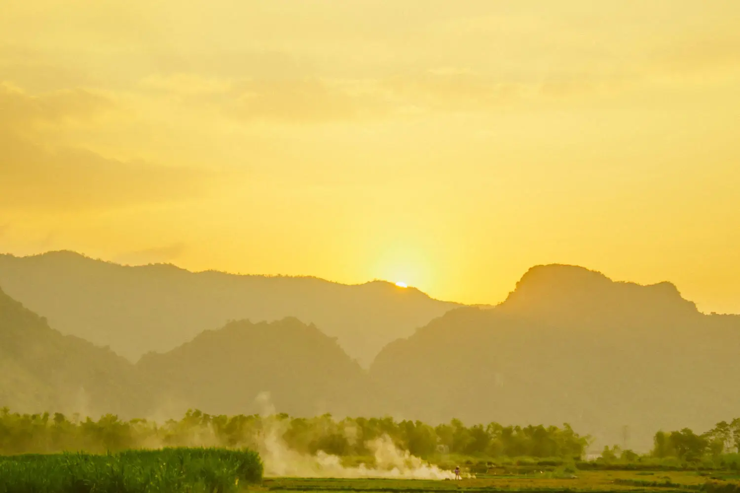 Review l&agrave;ng qu&ecirc; Quảng B&igrave;nh đẹp dịu d&agrave;ng m&ugrave;a cỏ lau 2