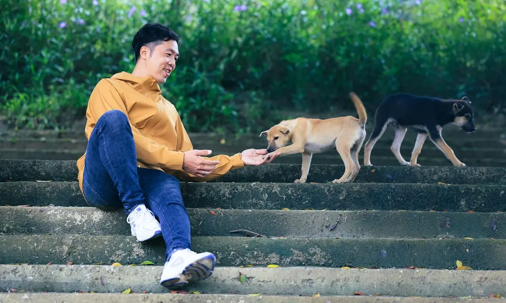 Review Quảng B&igrave;nh c&ugrave;ng với những kẻ khờ y&ecirc;u th&uacute; lang thang 7