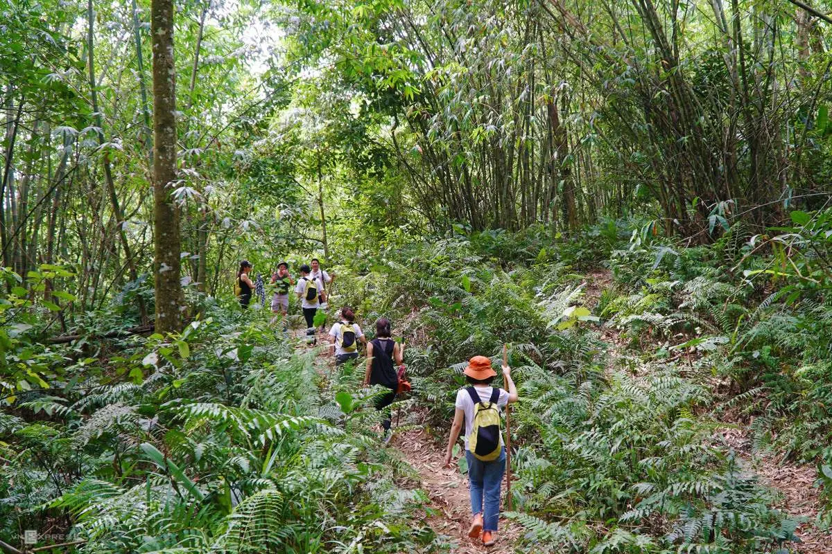 Kinh nghiệm trekking hang Giếng Voọc Quảng B&igrave;nh chỉ 1 ng&agrave;y 3