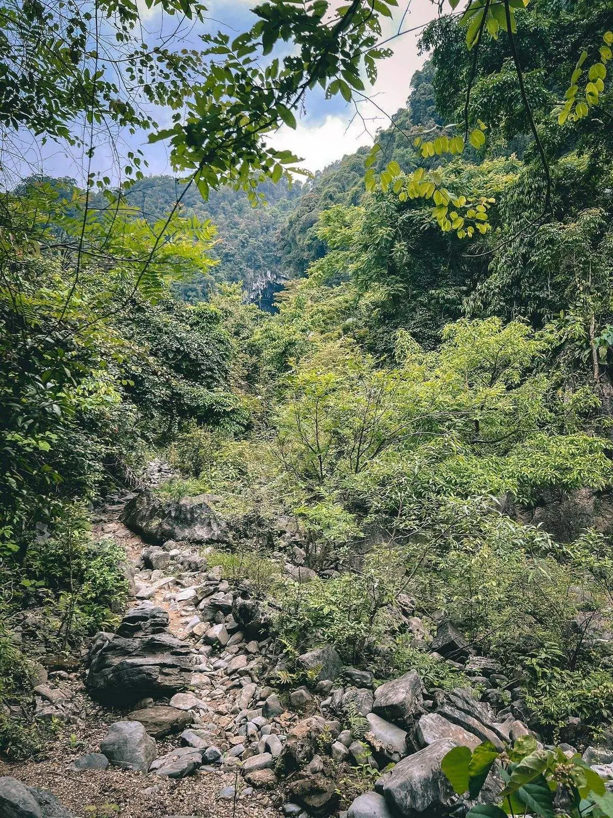 Kinh nghiệm trekking Phong Nha Kẻ B&agrave;ng cho người lần đầu tham gia 10