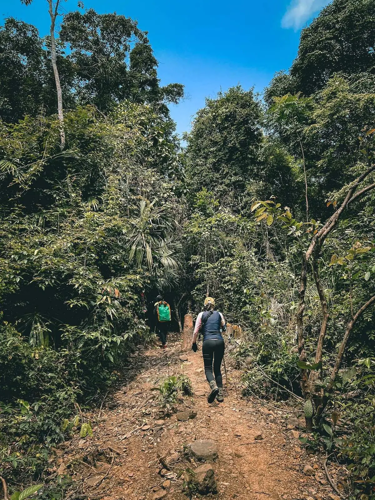 Kinh nghiệm trekking Phong Nha Kẻ B&agrave;ng cho người lần đầu tham gia 11