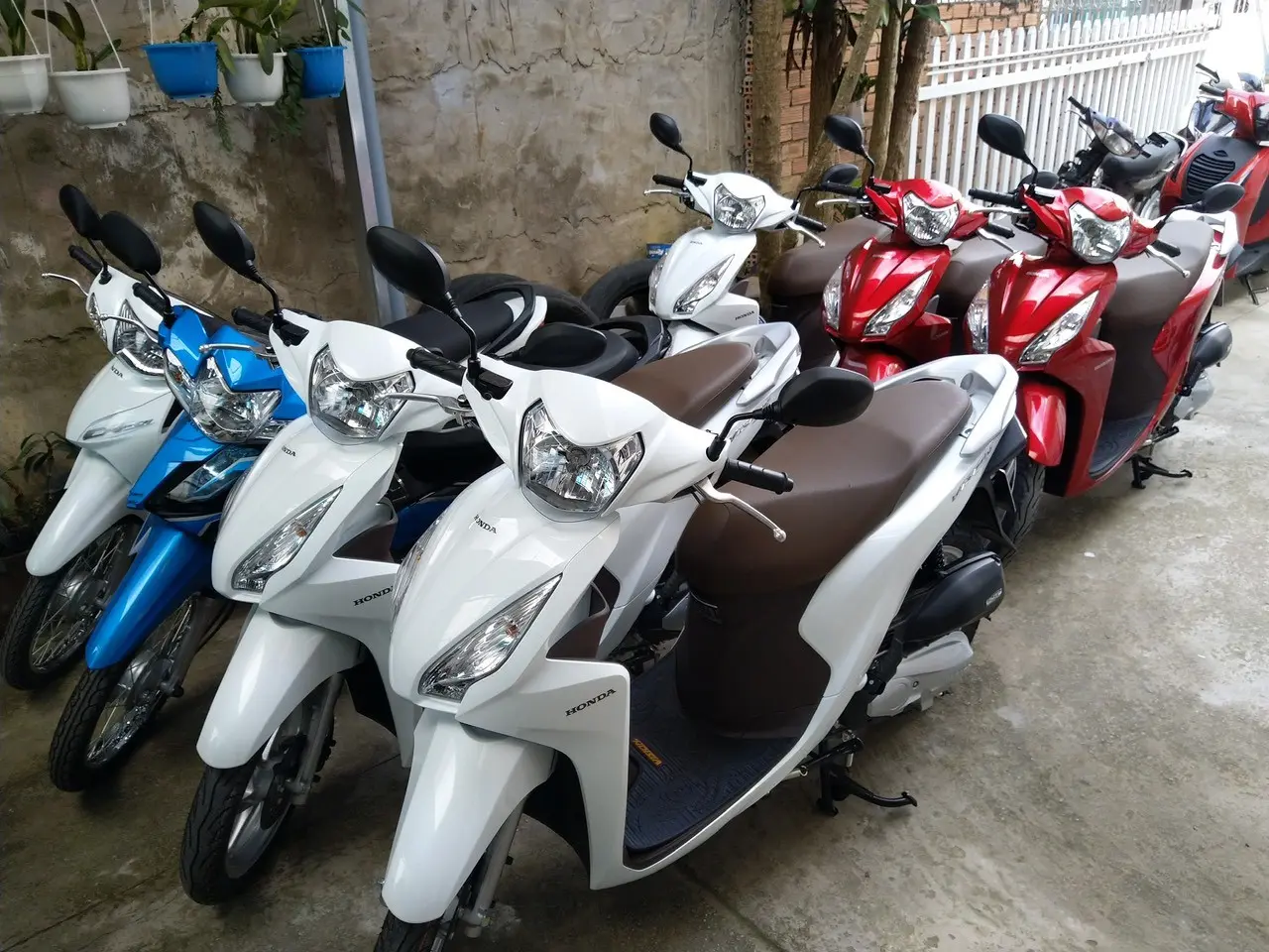 Xem ngay kinh nghiệm thu&ecirc; xe m&aacute;y ở Quảng B&igrave;nh vừa nhanh vừa rẻ 4