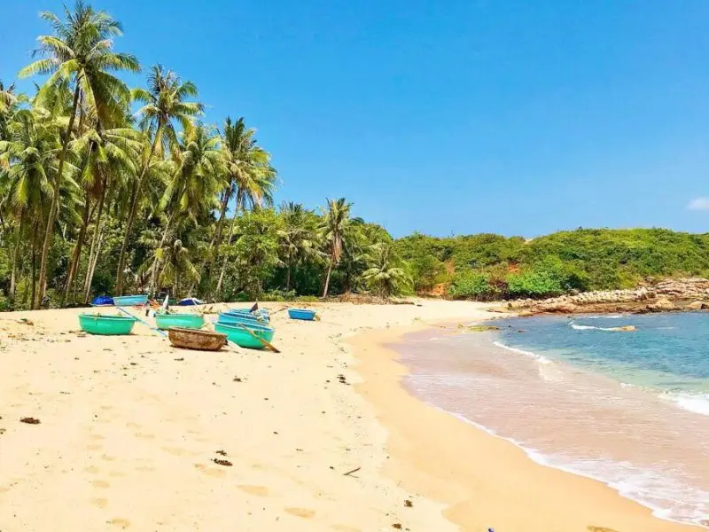 Cẩm nang du lịch Bãi Rạng Quy Nhơn: Mọi thứ bạn cần biết trước khi đi 3
