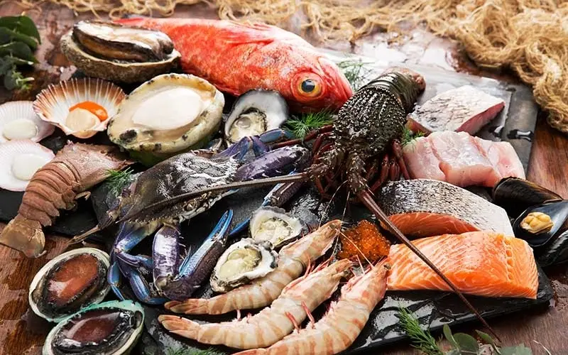 Cù Lao Xanh: Thiên đường biển hoang sơ mê hoặc giữa Quy Nhơn 11