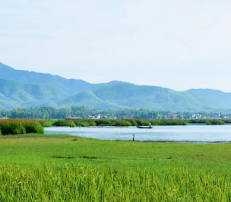 Đầm Tr&agrave; Ổ, h&agrave;nh tr&igrave;nh kh&aacute;m ph&aacute; thi&ecirc;n nhi&ecirc;n tuyệt đẹp ở B&igrave;nh Định 9