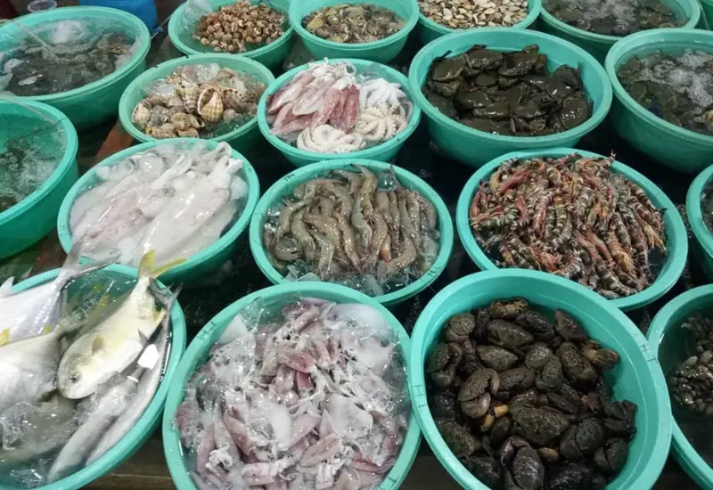 Gh&eacute; thăm b&atilde;i biển Lộ Di&ecirc;u: n&eacute;t nguy&ecirc;n sơ đầy quyến rũ 14
