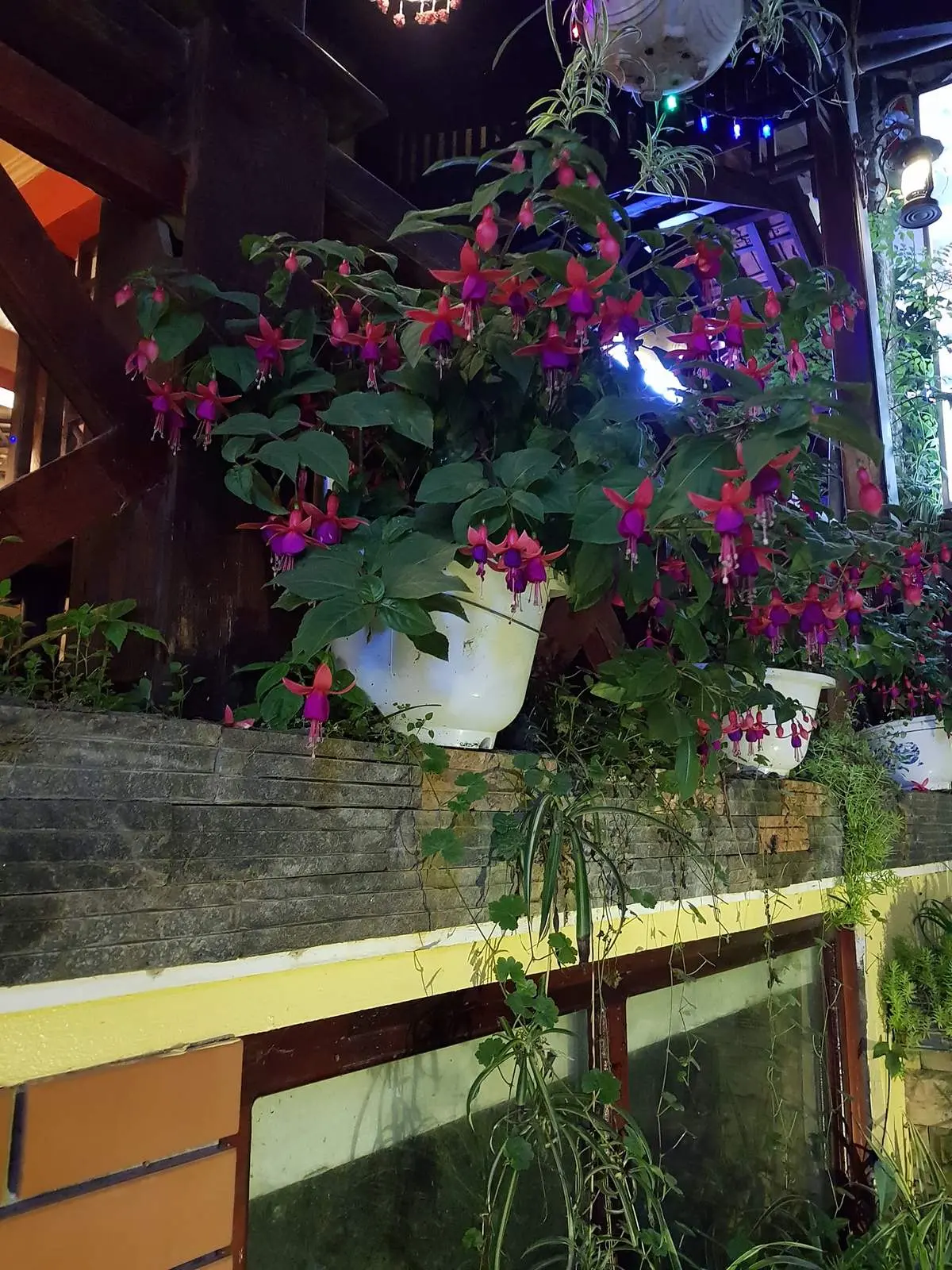 Anise Sapa Restaurant - Nh&agrave; h&agrave;ng kiểu &Acirc;u thơ mộng, ăn l&agrave; m&ecirc; ngay giữa l&ograve;ng Sapa 14