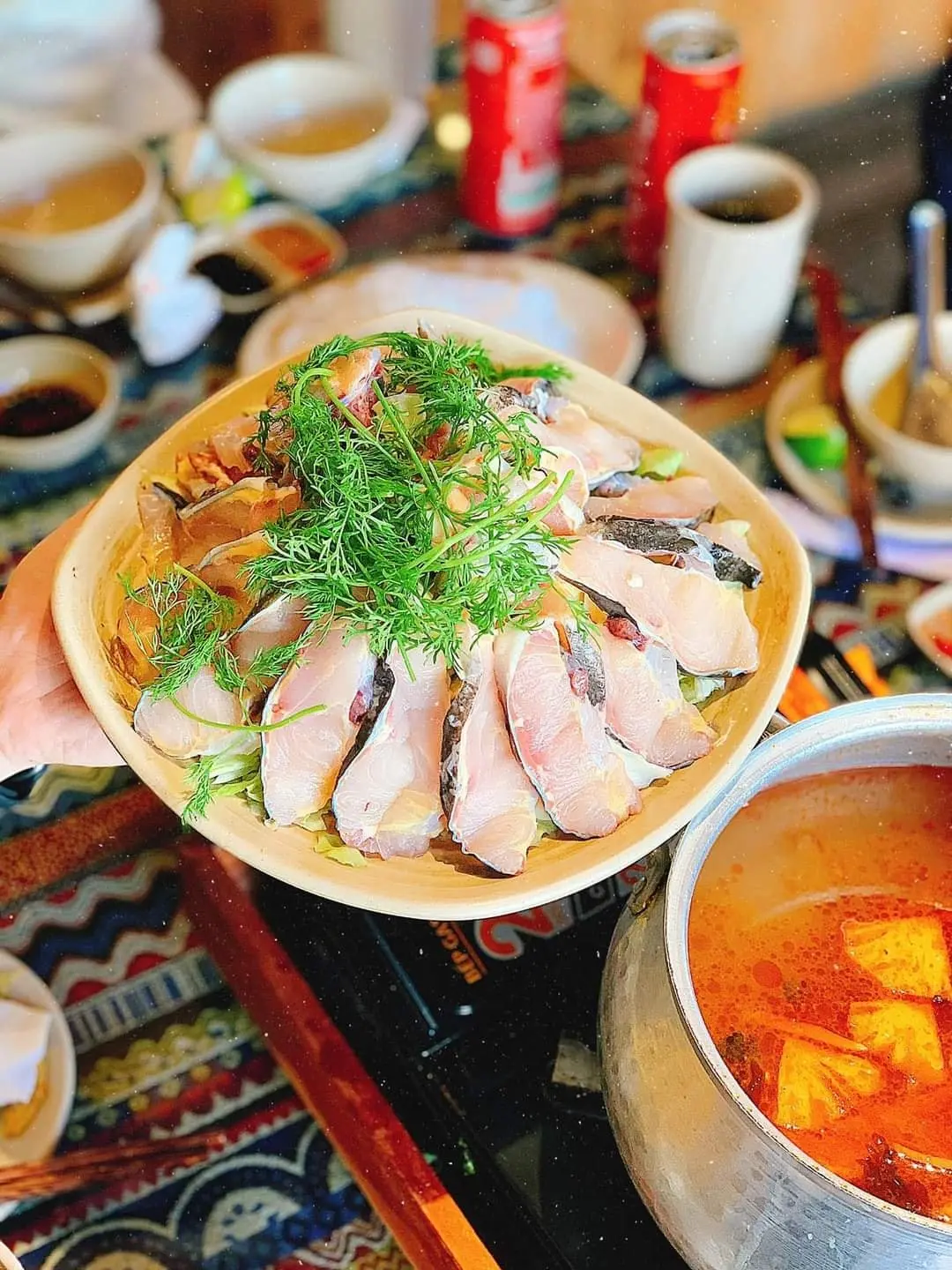 Cá tầm Sapa và 8 điều cần biết về thương phẩm cao cấp này 14