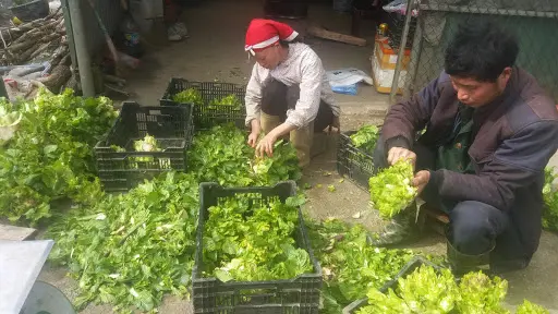 Độc đ&aacute;o đặc sản mầm đ&aacute; Sapa - Hương vị c&oacute; 1-0-2 của n&uacute;i rừng 5